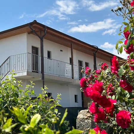 Vila Bloom Vama Veche Bagian luar foto
