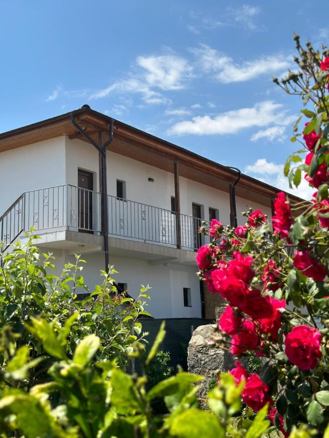 Vila Bloom Vama Veche Bagian luar foto